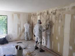 Best Environmental Consulting for Mold Prevention  in Castle Rock, CO